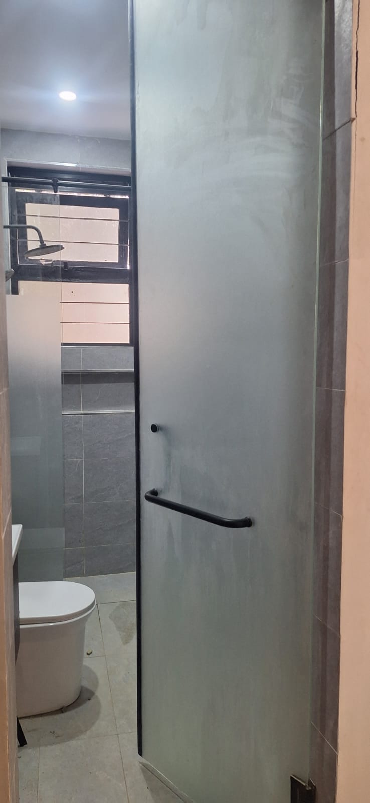 Aluminium Door 20